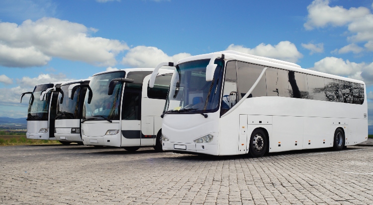 fleet of full-sized charter buses